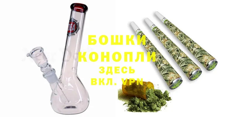 Бошки марихуана Bruce Banner  Бавлы 